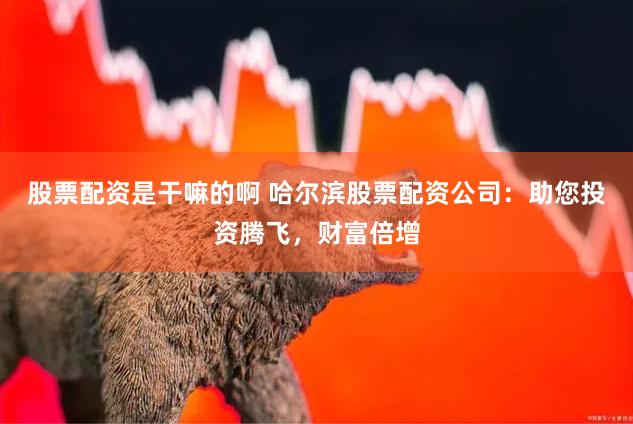 股票配資是干嘛的啊 哈爾濱股票配資公司：助您投資騰飛，財富倍增