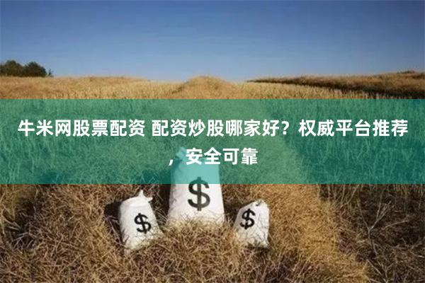 牛米網股票配資 配資炒股哪家好？權威平臺推薦，安全可靠