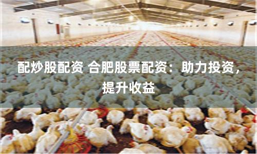 配炒股配資 合肥股票配資：助力投資，提升收益